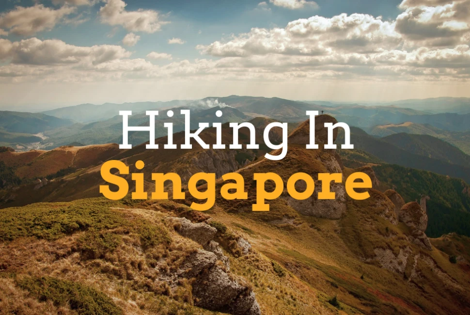 Hiking Trails in Singapore | Trekking Singapore